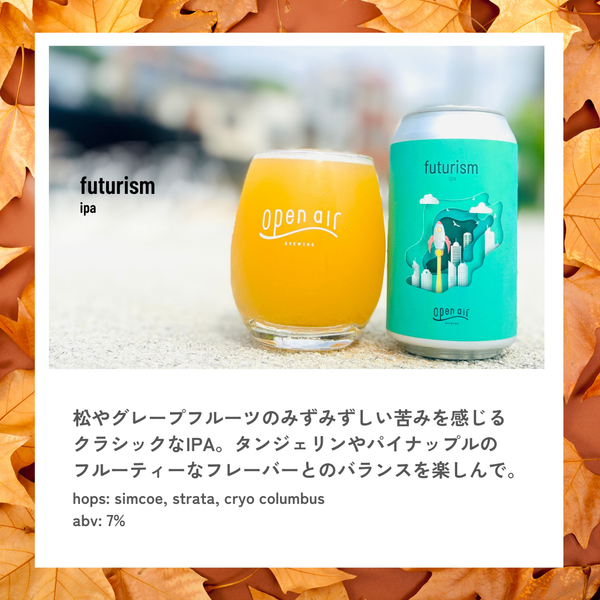 Fall Feelings　秋を楽しむビール6本セット